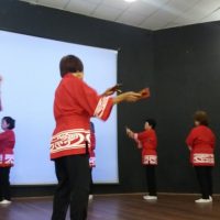 Conferência Idoso   1