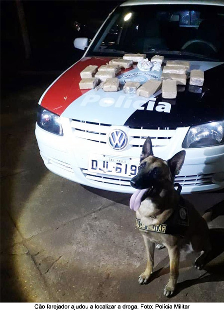 Com apoio de cão farejador, Polícia Militar apreende mais de 6kg de maconha e crack