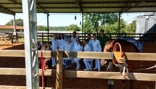 Enfermagem visita projeto de extensão em Equoterapia da UniFAI na Chácara da APAE