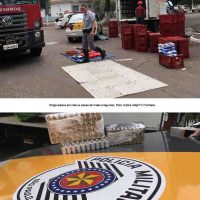 Maconha Caminhão   Dracena   1