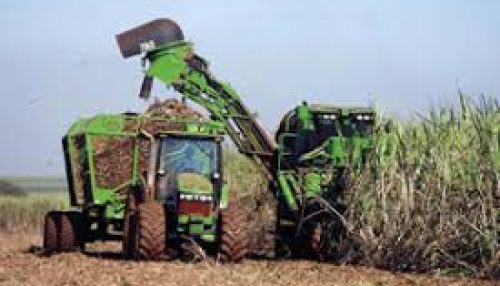 Coordenador de Segurança e Saúde da Energisa alerta para os cuidados com e rede elétrica na área rural