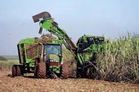 Coordenador de Segurança e Saúde da Energisa alerta para os cuidados com e rede elétrica na área rural