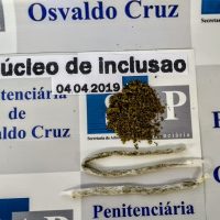 Penitenciária De Osvaldo Cruz 1