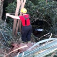 Acidente Com Caminhão Salmourão