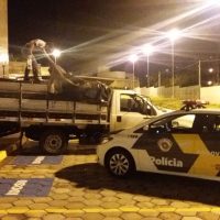 Contrabando Cigarros