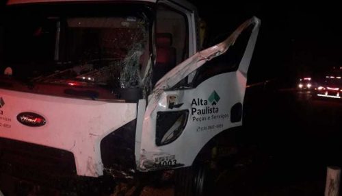 Animal na pista provoca acidente entre dois caminhões na SP-294 em Lucélia