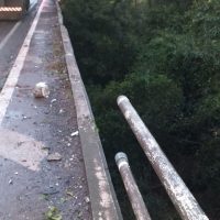 Caminhão Rinópolis 2