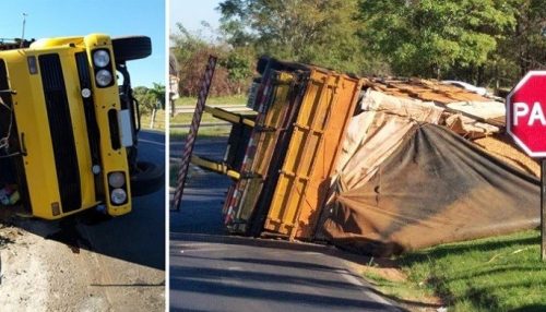 Motorista sai ileso após caminhão carregado com amendoim tombar na SP-294