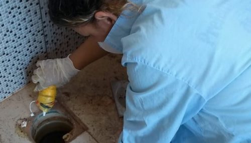 Equipes da Prefeitura de Adamantina continuam atuando no combate à dengue