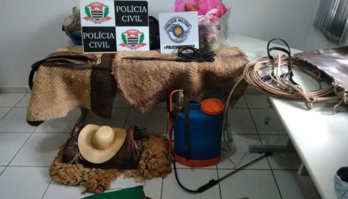 Grupo é preso em flagrante após furtar objetos e abater novilha de propriedade rural