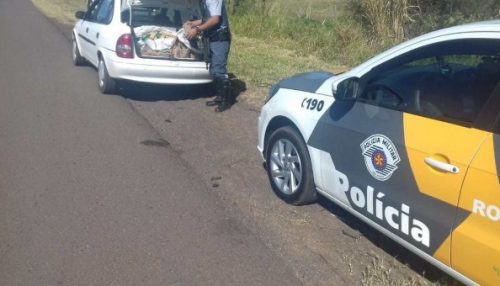 Polícia Rodoviária prende homem na SP 294 em Dracena transportando entorpecente