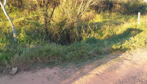 Justiça decreta prisão preventiva de suspeitos de envolvimento no assassinato de motorista de aplicativo