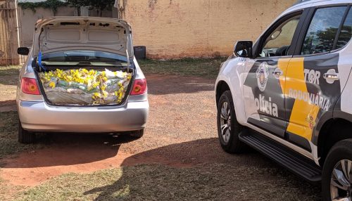 Polícia Rodoviária apreende 8.000 relógios contrabandeados do Paraguai sem nota fiscal