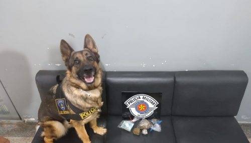 Polícia prende caixa de posto de combustíveis por tráfico em Dracena