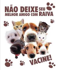 Estado de São Paulo não receberá doses para a vacinação antirrábica