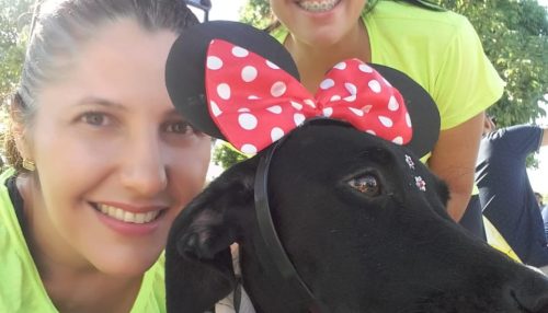 Chá Beneficente da ONG ‘Apelos e Patas’ acontece neste domingo 18 de agosto