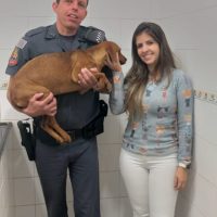 Cachorrinha Saco   3