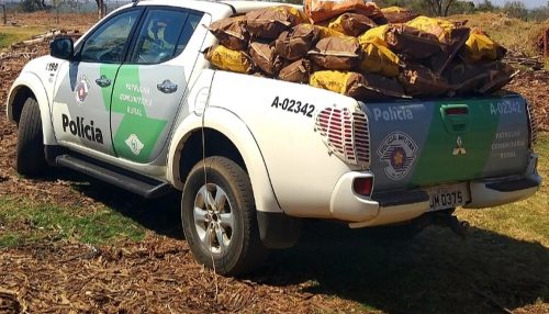 Fiscalização apreende mais de 400kg de carvão vegetal transportados sem documentação de origem em Martinópolis