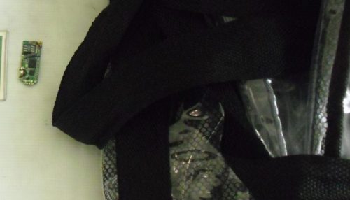 Duas mulheres são flagradas tentando entrar na penitenciária com droga e celular