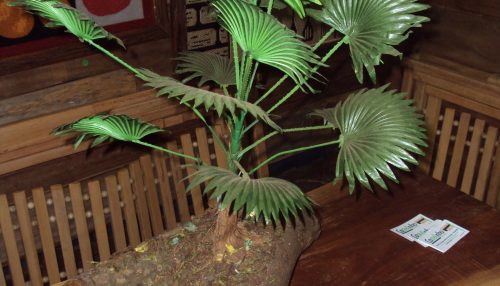 “BOZZO COM COISOS/AS” E PONTO QUASE FINAL...