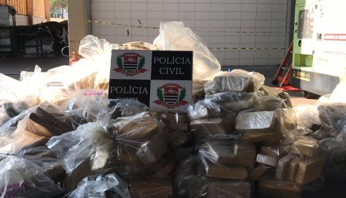 Polícia Civil da área de Presidente Venceslau incinera mais de 1 tonelada de drogas