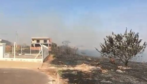 Incêndio atinge área de preservação ambiental e parte de loteamento, em Regente Feijó
