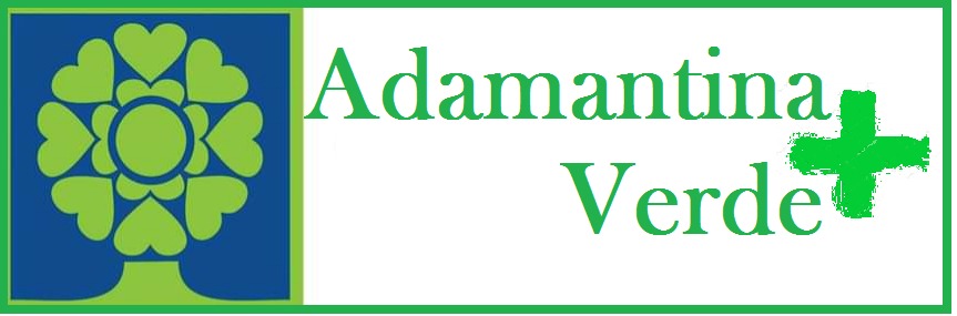 SAAMA disponibiliza plantio gratuito de árvores em calçamento