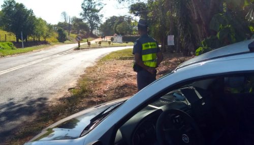 Operação São Paulo Mais Seguro terá 18.931 policiais militares, 7957 viaturas, fiscalizando 1711 locais em todo Estado de São Paulo