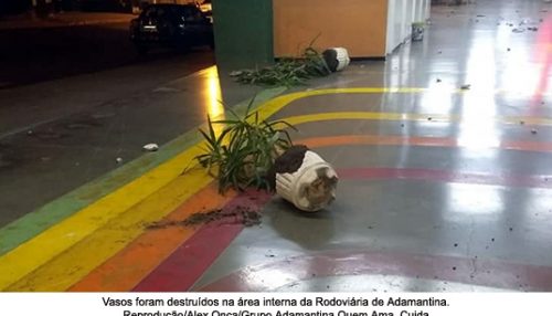 Vândalos destroem vasos no Terminal Rodoviário de Adamantina