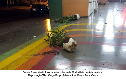 Vândalos destroem vasos no Terminal Rodoviário de Adamantina