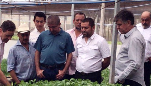 Caravana de projeto do Euroclima+ faz visita de campo a produtores de Adamantina