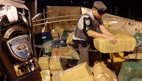 Polícia Rodoviária apreende mais de 11 toneladas de maconha em Mirante do Paranapanema