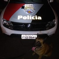 Droga Fornecedor Adamantina 2