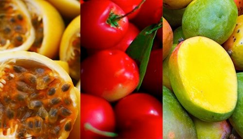 Apta Adamantina promove V Seminário de Fruticultura da Nova Alta Paulista