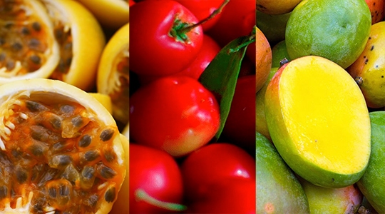 Apta Adamantina promove V Seminário de Fruticultura da Nova Alta Paulista