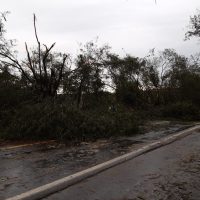 Estrada   2