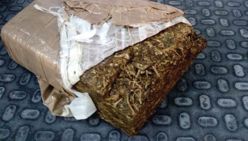 Força Tática prende dois indivíduos e apreende tijolo de maconha em mata próximo a um córrego