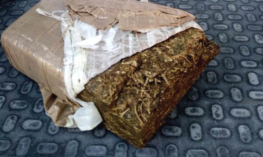 Força Tática prende dois indivíduos e apreende tijolo de maconha em mata próximo a um córrego