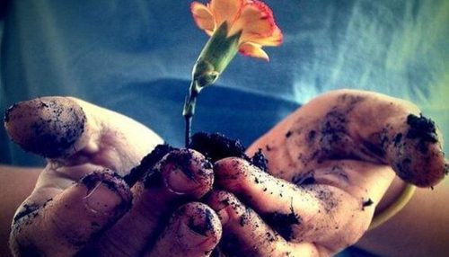 Deus quer e pode vencer o mal?