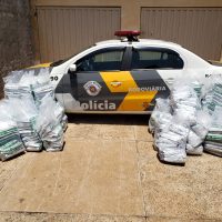 Agrotóxicos Parapuã 1