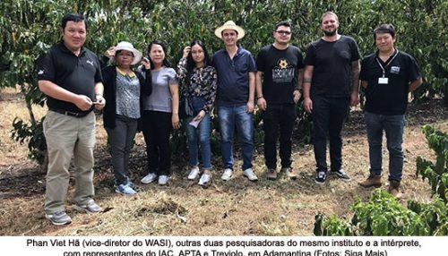 Pesquisadores do Vietnã conhecem pesquisas, cultivo e processamento do café Robusta
