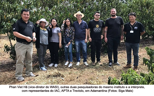 Pesquisadores do Vietnã conhecem pesquisas, cultivo e processamento do café Robusta