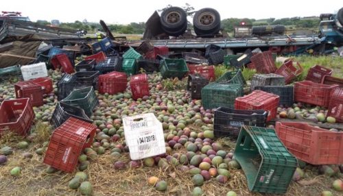 Caminhão com carga de manga tomba no trevo da Lagoa Seca na SP-294 e motorista fica ferido