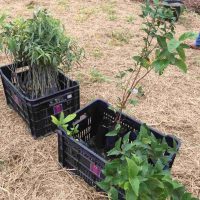 WhatsApp Image 2019 11 24 At 22.06.29_Easy Resize.com