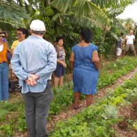 WhatsApp Image 2019 11 24 At 22.06.31 (1)_Easy Resize.com