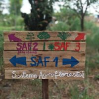 WhatsApp Image 2019 11 24 At 22.06.36_Easy Resize.com