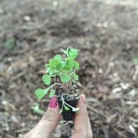 WhatsApp Image 2019 11 24 At 22.06.39_Easy Resize.com