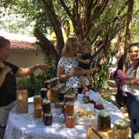 WhatsApp Image 2019 11 24 At 22.11.36_Easy Resize.com