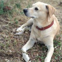 WhatsApp Image 2019 11 24 At 22.18.17 (1)_Easy Resize.com