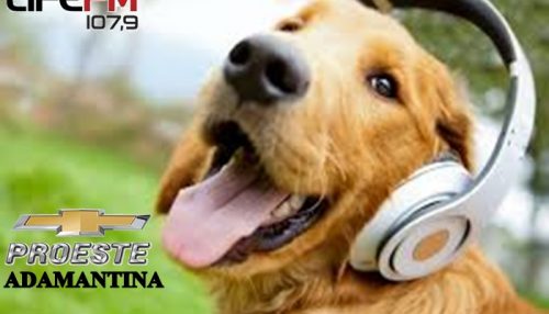 Rádio Life FM em parceria com a Proeste Chevrolet desenvolvem ação em proteção aos animais